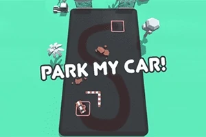 park my car! 