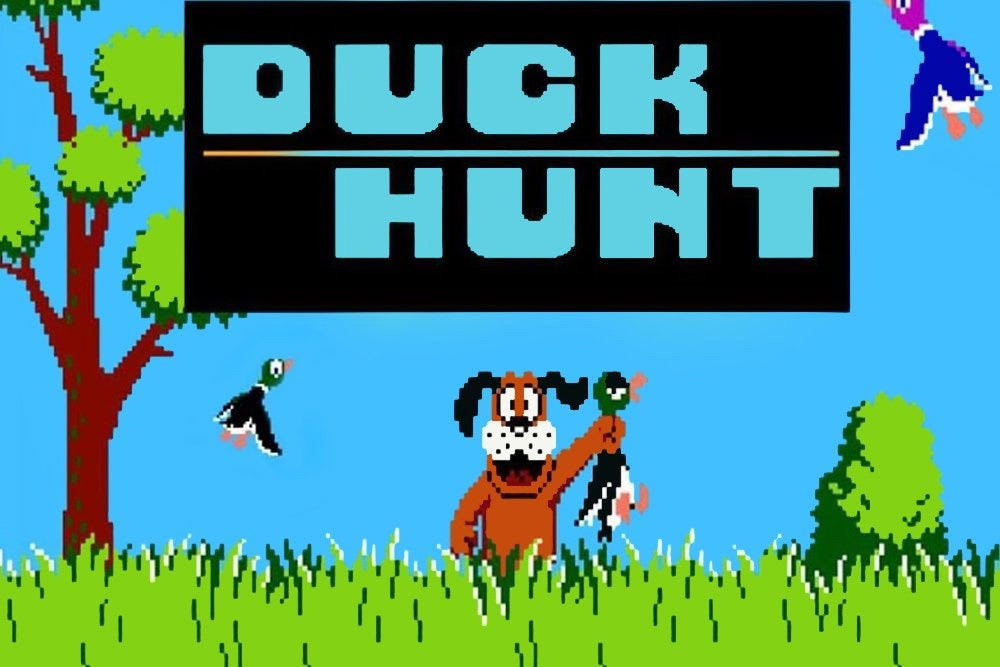 duck hunt 