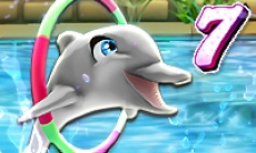 My Dolphin Show 7