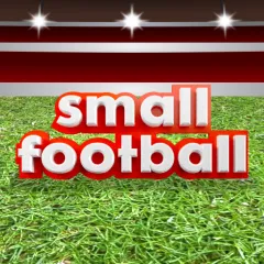 Small Football