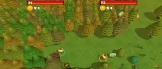 Worms Combat Coop