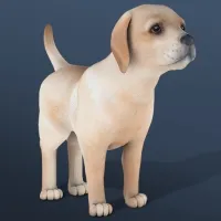 IDLE Pet
