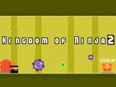 Kingdom of Ninja 2