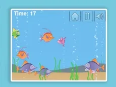 Aqua Challenge