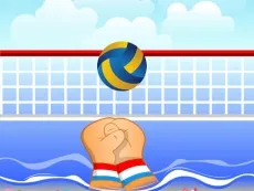 Volley ball