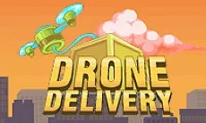 Drone Delivery