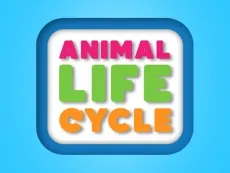 Animal Life Cycle