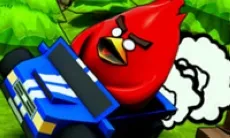 Poultry ACE Downhill