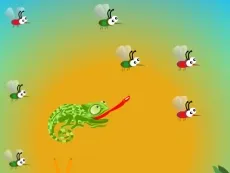 Hungry Chameleon