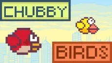 Chubby Birds